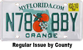 Florida County Plate