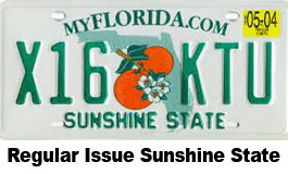 Florida Sunshine State Plate